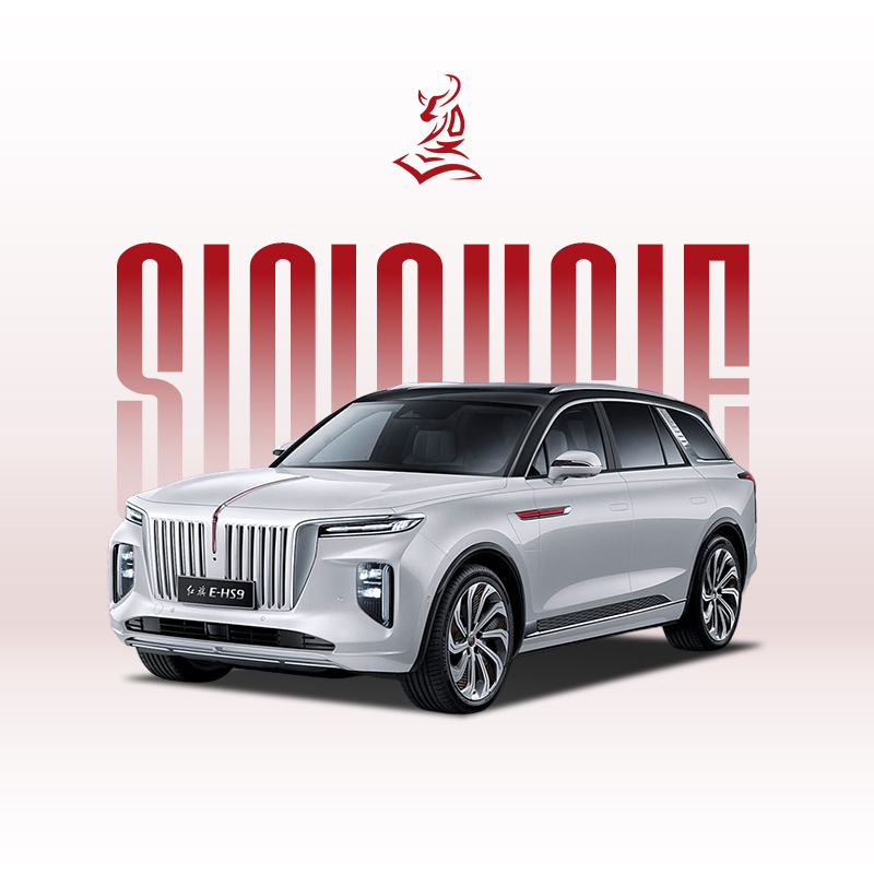 Used 2021 Hongqi E-HS9 460km - Affordable Electric 6-Seater SUV