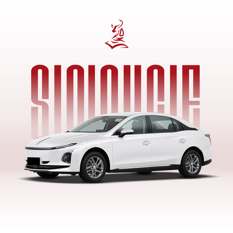 New 2025 Hongqi E-QM5 500km: Electric Sedan with Long Range & Luxury