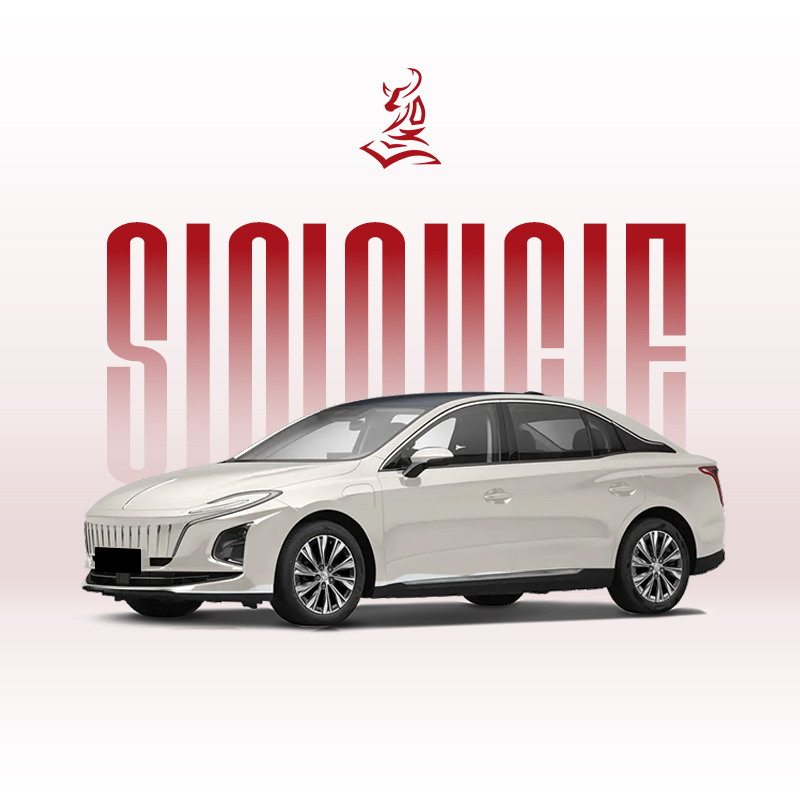 Used 2023 Hongqi E-QM5: 431km Long Range Electric Car
