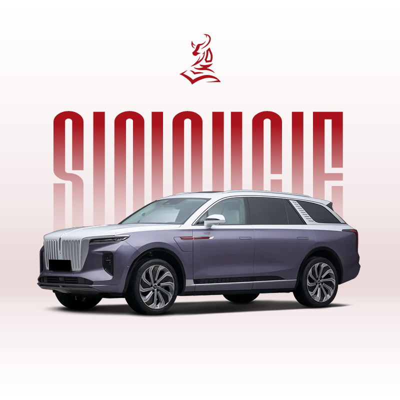 New 2024 Hongqi E-HS9 6-Seater - Luxury Electric SUV for Executives & Families